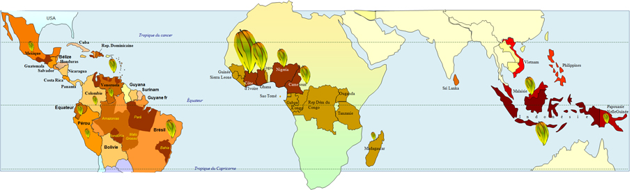 carte-provenance-du-cacao